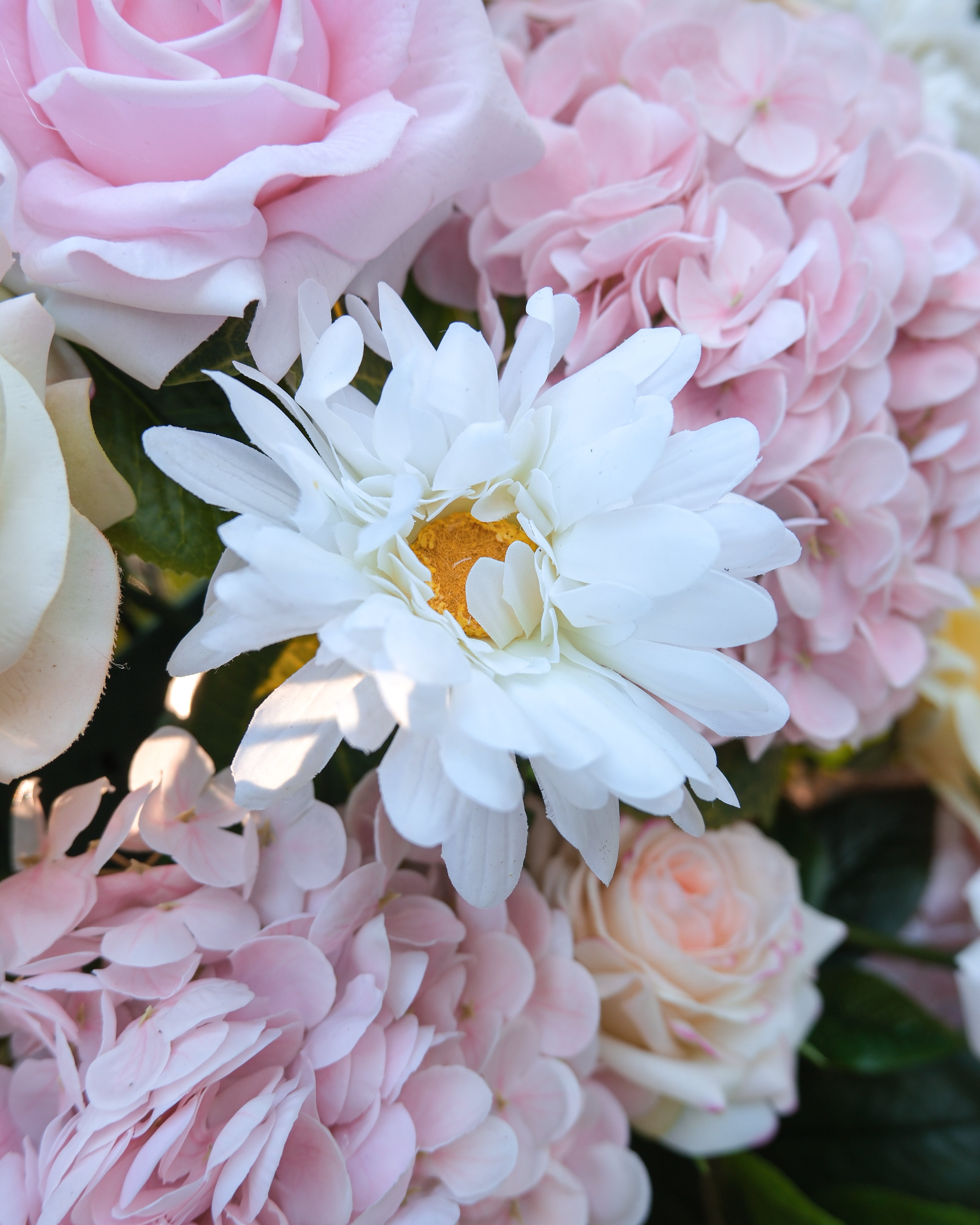 Wild Bloom