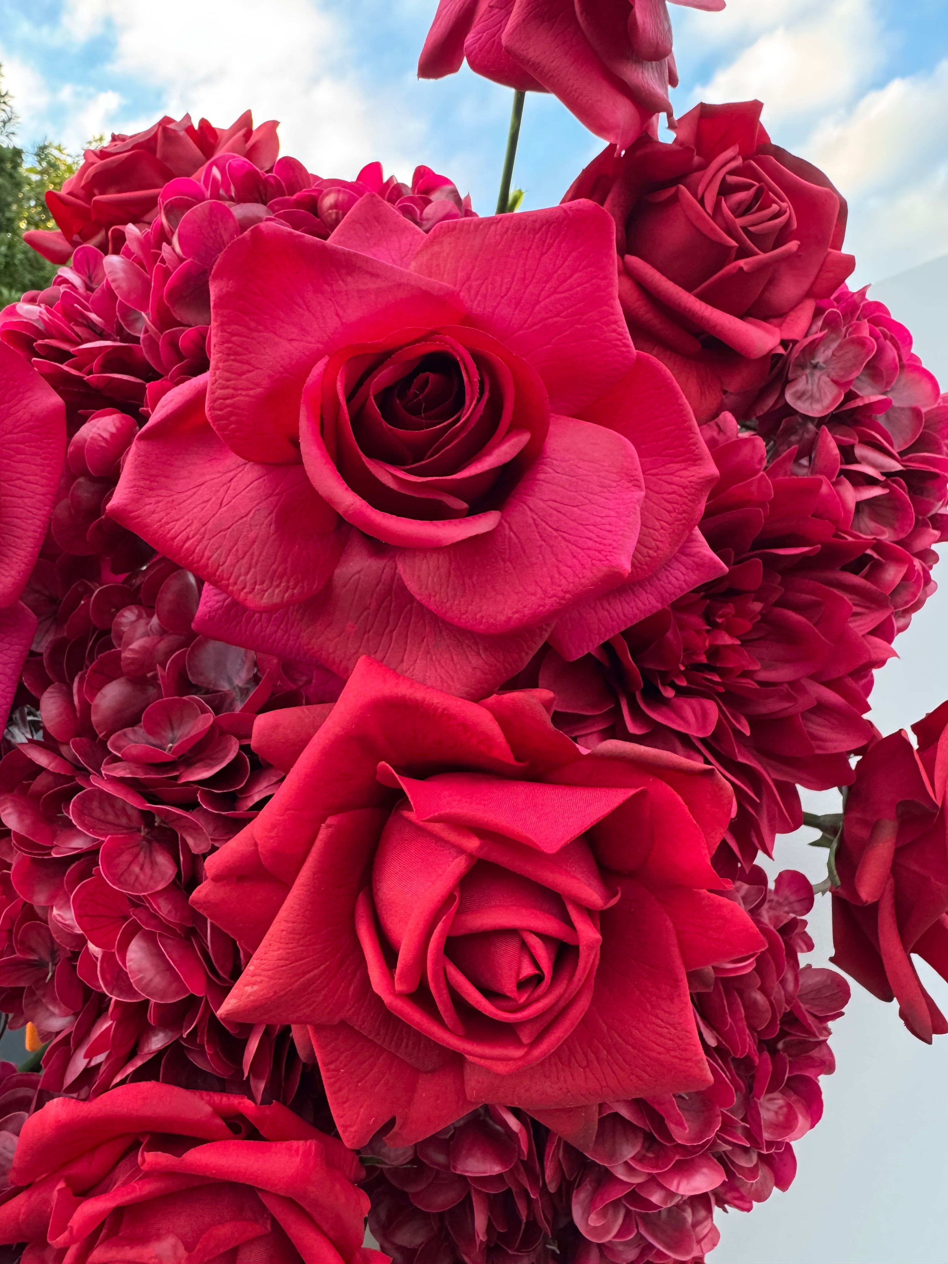 Desert Rose